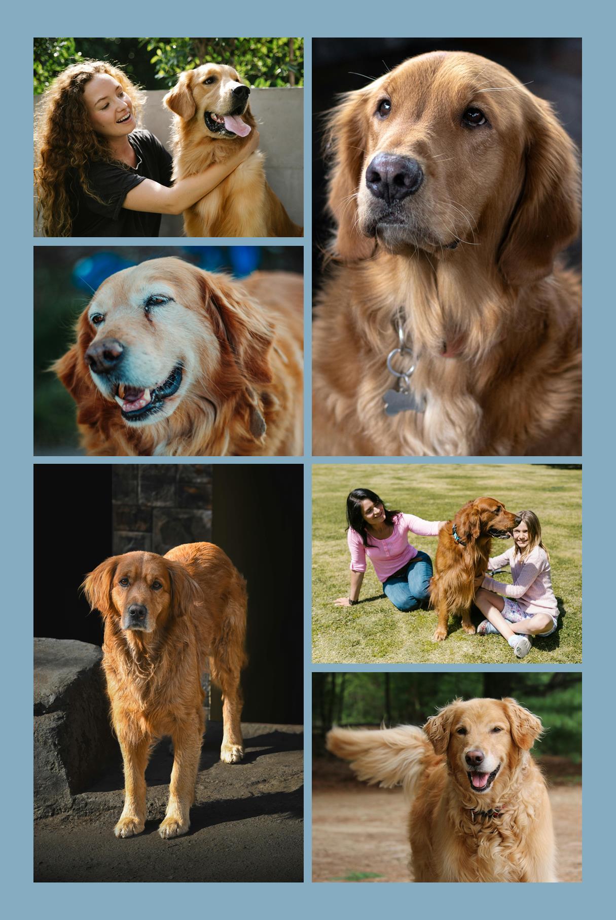 Hover Image